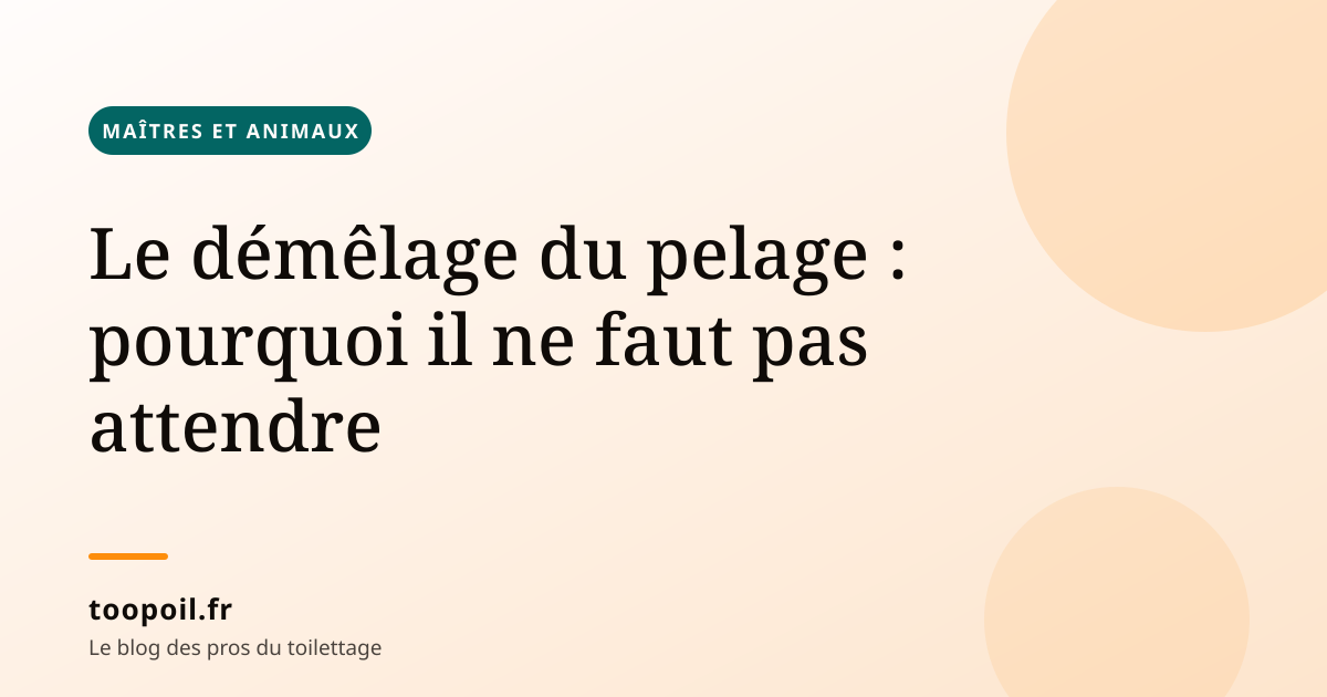 Le démêlage du pelage : pourquoi il ne faut pas attendre