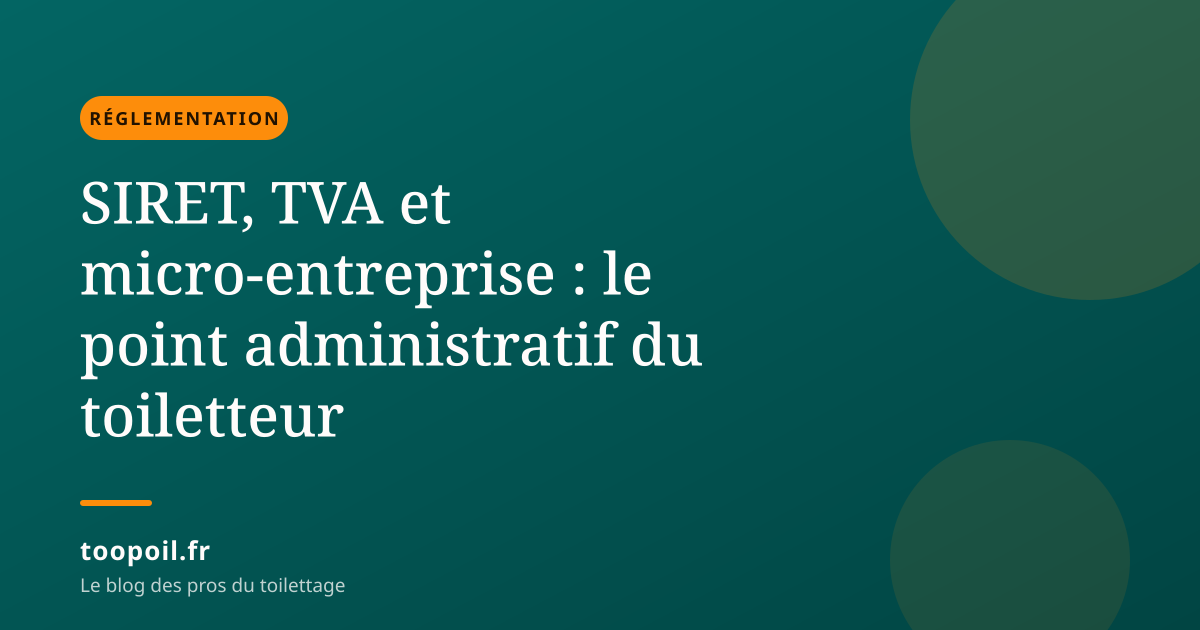 SIRET, TVA et micro-entreprise : le point administratif du toiletteur