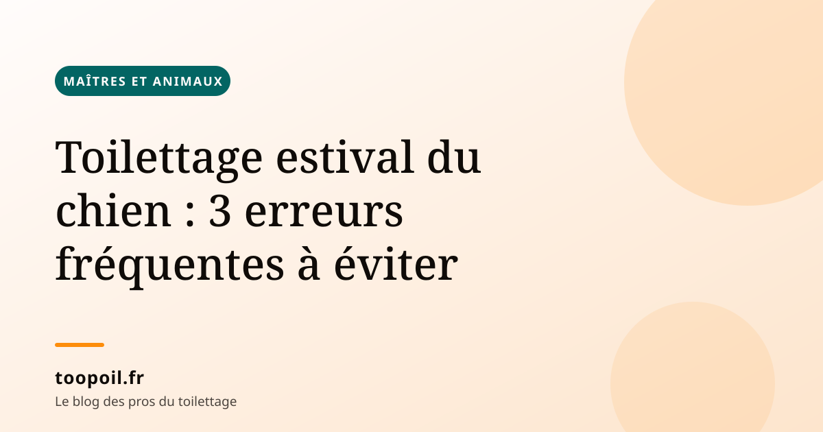 Toilettage estival du chien : 3 erreurs fréquentes à éviter